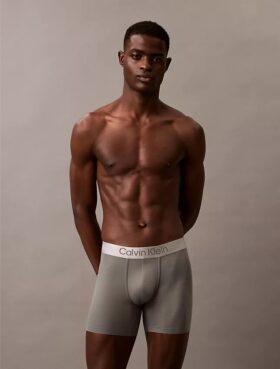 Boxer Briefs aus gebürsteter Mikrofaser mit Stretch