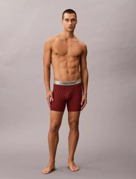 Boxer Briefs aus gebürsteter Mikrofaser mit Stretch