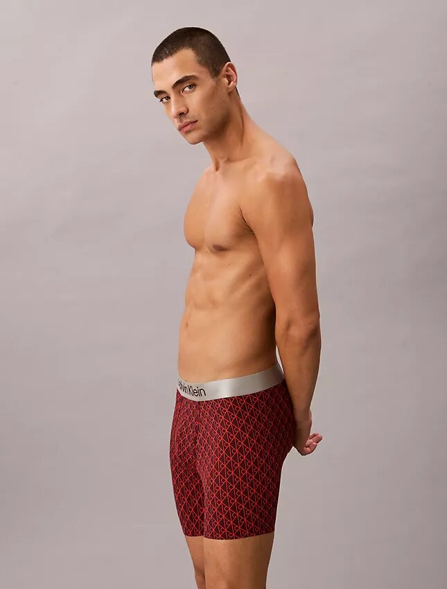 Boxer Briefs aus gebürsteter Mikrofaser mit Stretch Boxer Briefs aus gebürsteter Mikrofaser mit Stretch