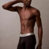 Boxer Briefs aus gebürsteter Mikrofaser mit Stretch