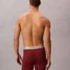 Boxer Briefs aus gebürsteter Mikrofaser mit Stretch Boxer Briefs aus gebürsteter Mikrofaser mit Stretch