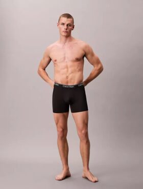 Boxer Briefs aus Mikrofaser-Stretch im 5er-Pack