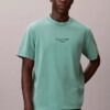 Classic-T-Shirt mit Acid-Wash-Logo Classic-T-Shirt mit Acid-Wash-Logo
