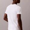 Cotton Classics 3er-Pack T-Shirt mit Rundhalsausschnitt in klassischer Passform Cotton Classics 3er-Pack T-Shirt mit Rundhalsausschnitt in klassischer Passform