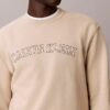 Fleece-Sweatshirt mit Varsity-Logo-Grafik
