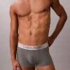 Gebürstete Mikrofaser-Stretch-Low Rise Trunk-Boxershorts Gebürstete Mikrofaser-Stretch-Low Rise Trunk-Boxershorts