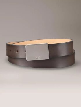 Glatter Gürtel mit Plakette