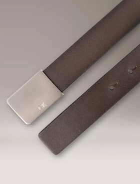 Glatter Gürtel mit Plakette