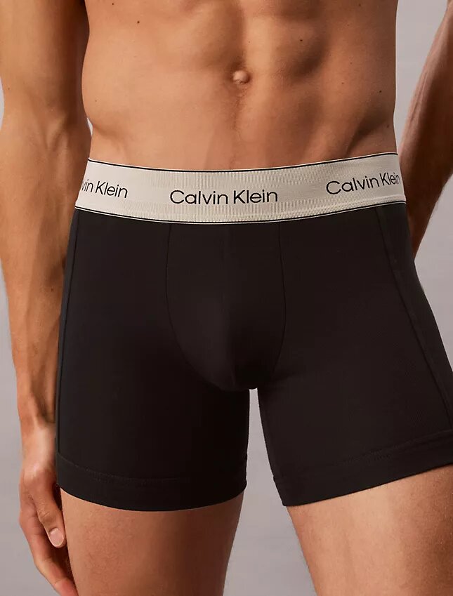 Heritage Boxer Briefs aus Cotton Stretch im 3er-Pack Heritage Boxer Briefs aus Cotton Stretch im 3er-Pack