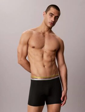 Icon Boxer Briefs aus Cotton Stretch
