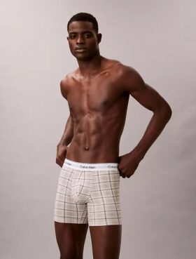 Icon Boxer Briefs aus Cotton Stretch