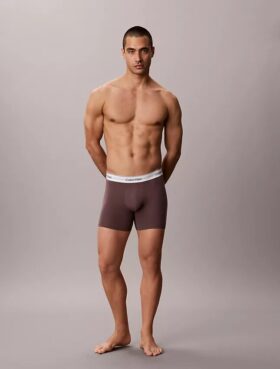 Icon Boxer Briefs aus Cotton Stretch