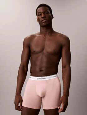 Icon Boxer Briefs aus Cotton Stretch