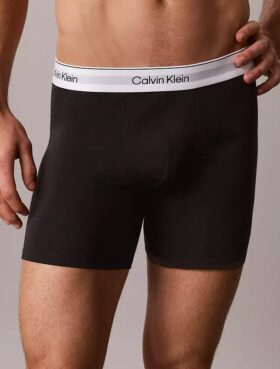 Icon Boxer Briefs aus Cotton Stretch