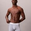 Icon Cotton Stretch 3er-Pack Boxer Briefs