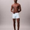 Icon Cotton Stretch Boxer Briefs im 5er-Pack
