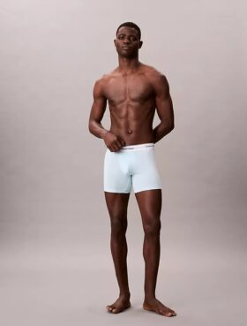Icon Cotton Stretch Boxer Briefs im 5er-Pack