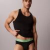 Icon Cotton Stretch Pride 5er-Pack Slips