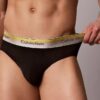 Icon Cotton Stretch Pride Hip Brief