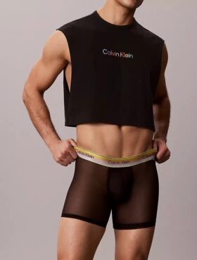 Icon Mesh Pride Boxer Briefs