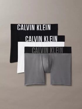 Intense Power Micro 3er-Pack Boxer Briefs