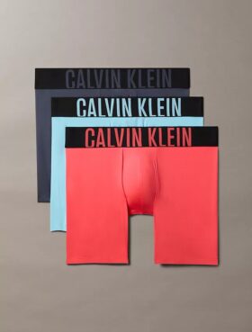Intense Power Micro 3er-Pack Boxer Briefs