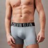 Intense Power Micro 3er-Pack Boxer Briefs