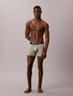 Intense Power Motion Boxer Briefs