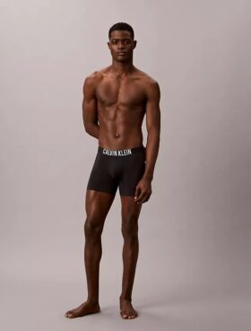 Intense Power Motion Boxer Briefs