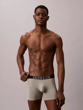 Intense Power Motion Boxer Briefs