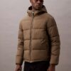 Klassische Daunenjacke Klassische Daunenjacke