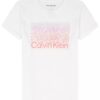 Klassisches Ombre-Logo-T-Shirt für Mädchen Klassisches Ombre-Logo-T-Shirt für Mädchen