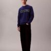 Klassisches Sweatshirt mit Fleece-Streifen Klassisches Sweatshirt mit Fleece-Streifen
