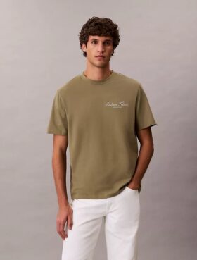 Klassisches T-Shirt mit kleinem Schriftzug-Logo