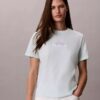 Klassisches T-Shirt mit mehrschichtiger Logografik Klassisches T-Shirt mit mehrschichtiger Logografik