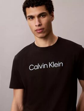 Klassisches T-Shirt mit Standard-Logo-Grafik