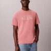Logo-Grafik Relaxed T-Shirt