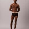 Microfiber Stretch 3er-Pack Low Rise Trunk