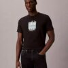 Modernes Calvin Klein T-Shirt mit grafischem Logo Modernes Calvin Klein T-Shirt mit grafischem Logo