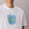 Modernes Calvin Klein T-Shirt mit grafischem Logo Modernes Calvin Klein T-Shirt mit grafischem Logo