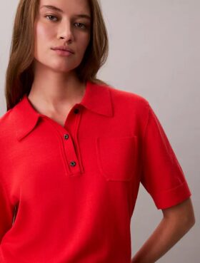 Polo-Pullover aus Merinowolle Polo-Pullover aus Merinowolle