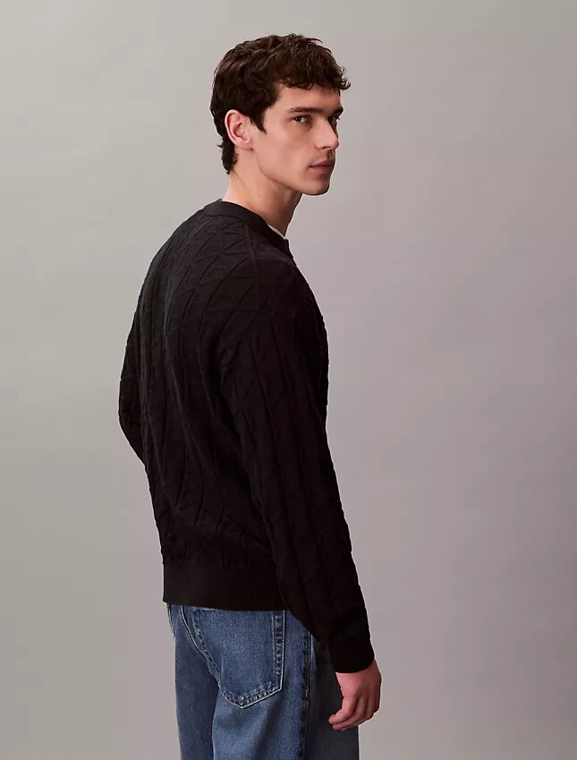 Ripppullover mit durchgehendem Emblem-Logo Ripppullover mit durchgehendem Emblem-Logo