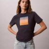 Sunset Graphic Classic T-Shirt Sunset Graphic Classic T-Shirt