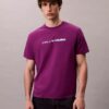 T-Shirt mit auffälligem Logo-Aufdruck in lockerer Passform